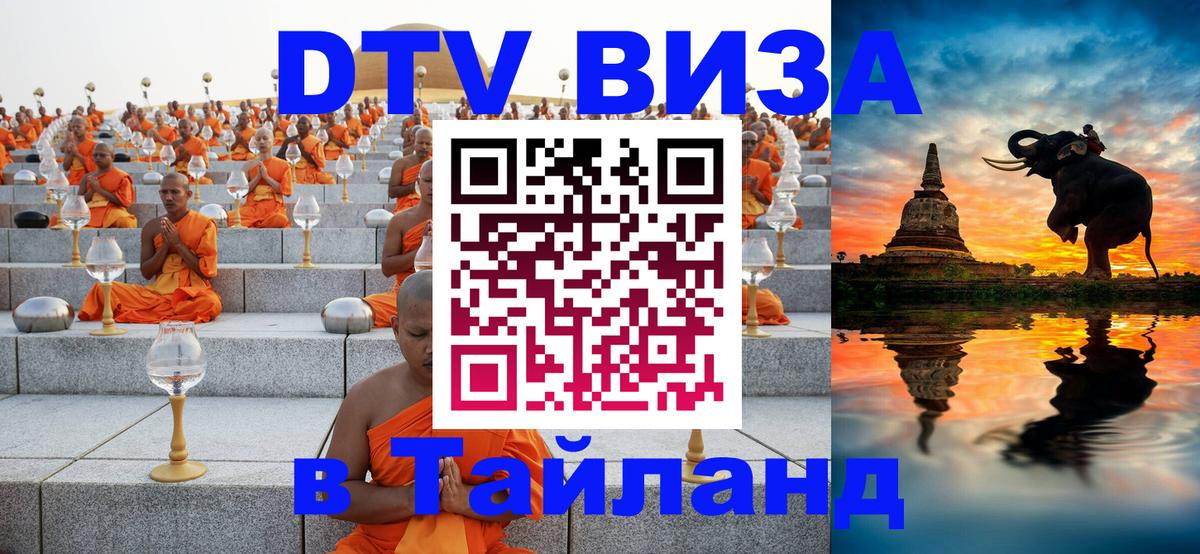 Оформление DTV визы под ключ: стоимость и тарифы, только загранпаспорт - 20.11.2025 
